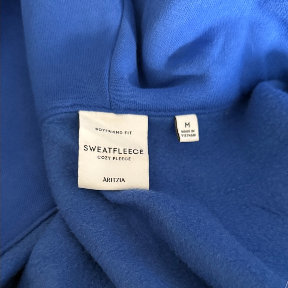 Aritzia Boyfriend Fit Sweatfleece in Blue
